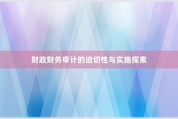 财政财务审计的迫切性与实施探索
